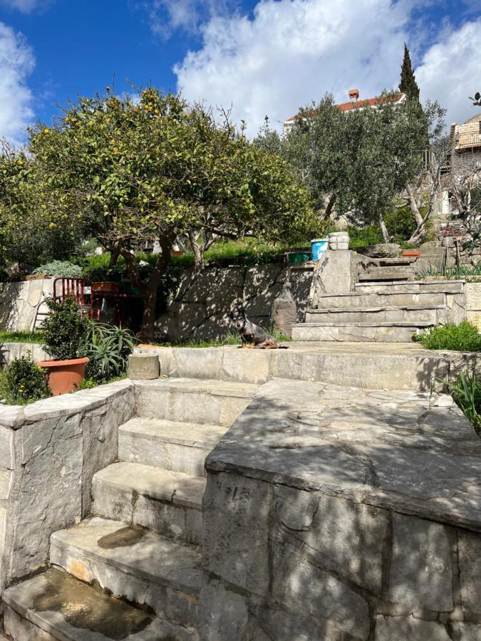 Apartments Cvjetkovic 米利尼 外观 照片