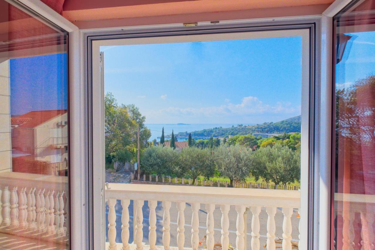 Apartments Cvjetkovic 米利尼 客房 照片